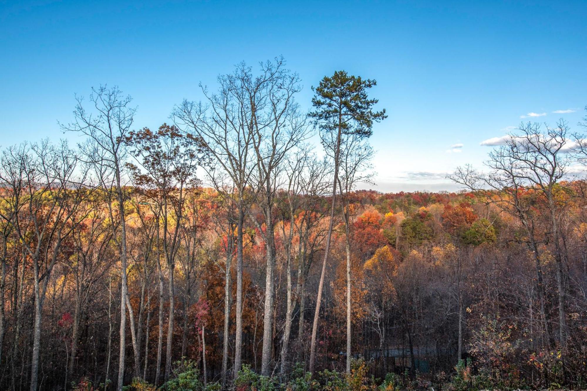 The Treetop Sanctuary Villa Sevierville Eksteriør bilde